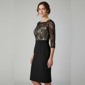 Elegant Black Lace Dress